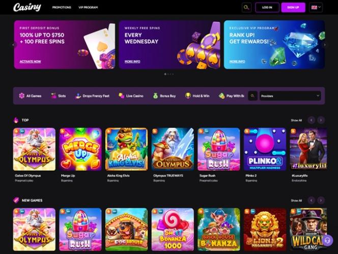 Discover the Excitement of Online Gaming with Casiny App 4
